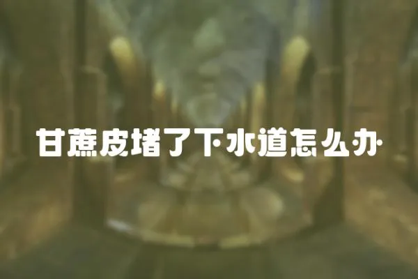 甘蔗皮堵了下水道怎么辦