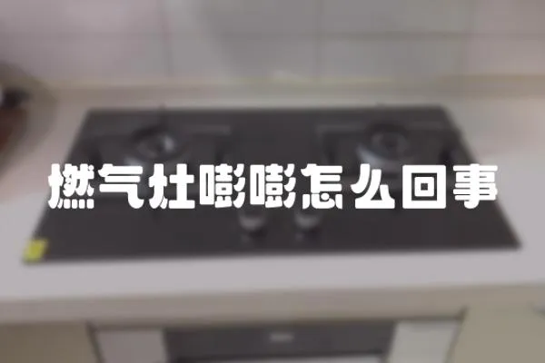 燃?xì)庠钹剜卦趺椿厥?></a></div>
                    <div   id=