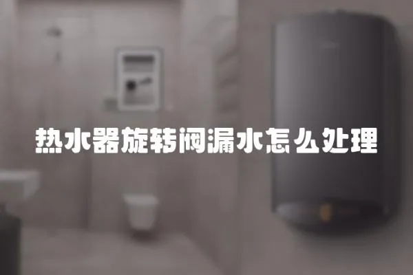 熱水器旋轉閥漏水怎么處理