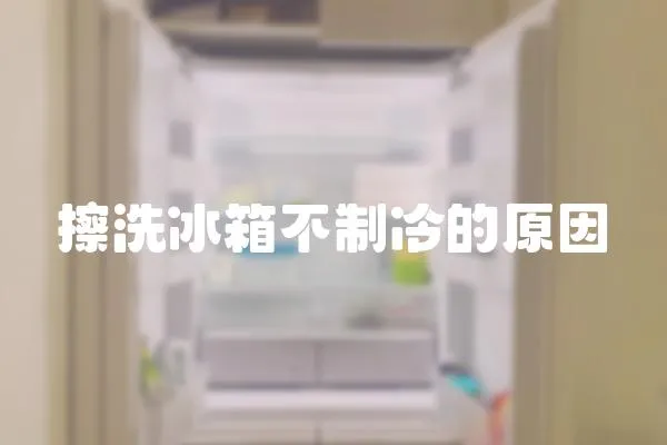 擦洗冰箱不制冷的原因