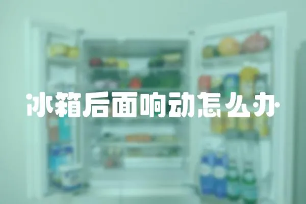 冰箱后面響動怎么辦