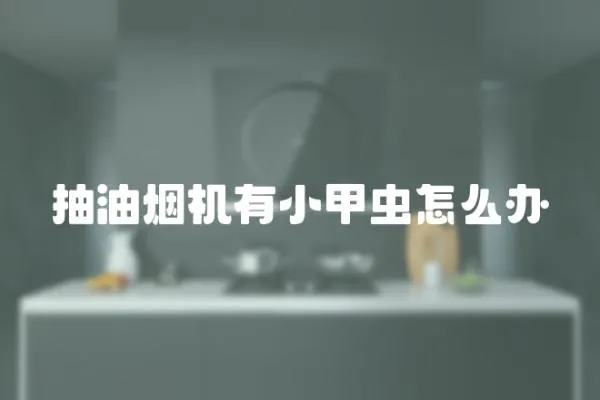 抽油煙機有小甲蟲怎么辦