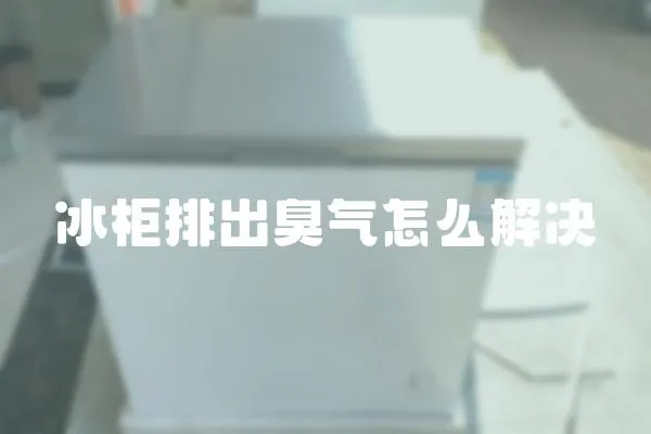 冰柜排出臭氣怎么解決