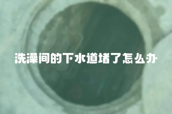 洗澡間的下水道堵了怎么辦