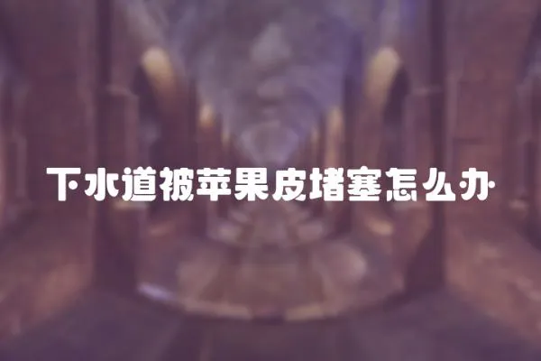 下水道被蘋果皮堵塞怎么辦