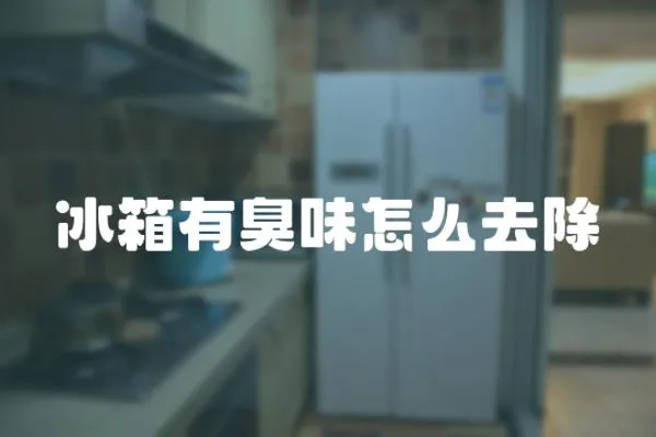 冰箱有臭味怎么去除