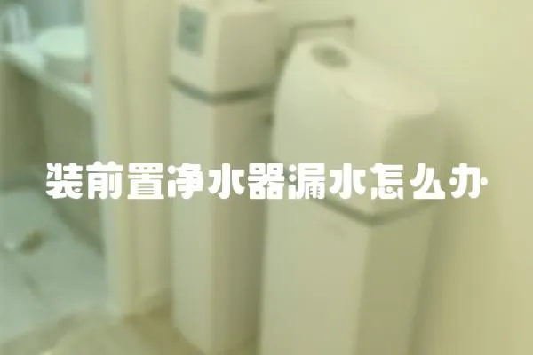 裝前置凈水器漏水怎么辦