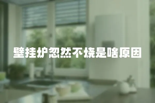 壁掛爐忽然不燒是啥原因
