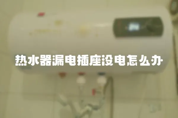 熱水器漏電插座沒電怎么辦