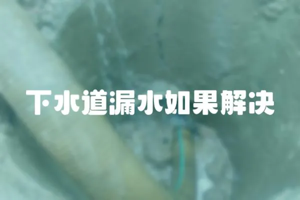 下水道漏水如果解決