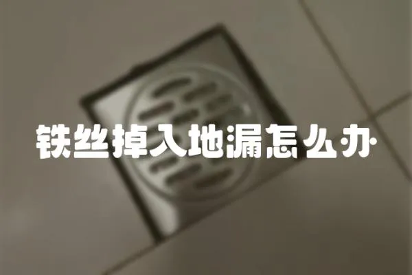 鐵絲掉入地漏怎么辦