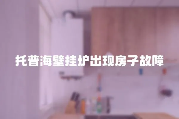 托普海壁掛爐出現房子故障