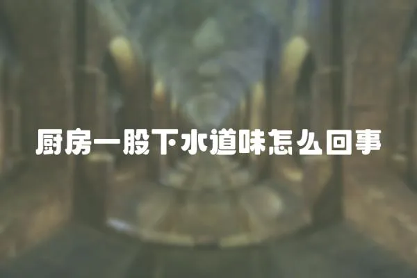 廚房一股下水道味怎么回事