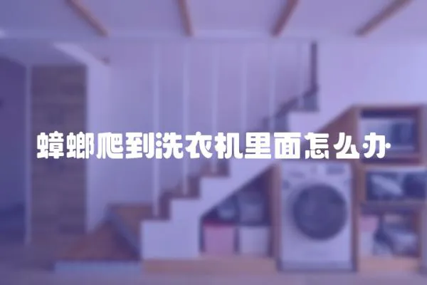 蟑螂爬到洗衣機里面怎么辦