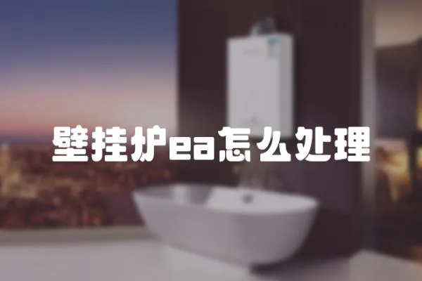 壁掛爐ea怎么處理