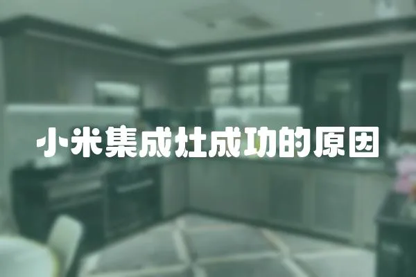 小米集成灶成功的原因