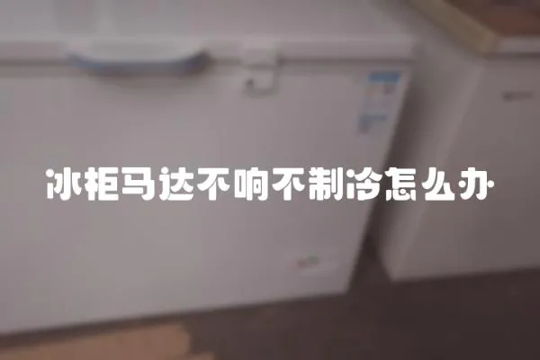 冰柜馬達不響不制冷怎么辦
