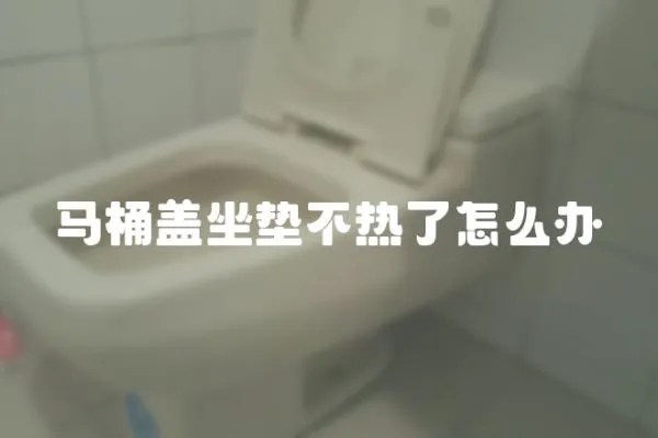 馬桶蓋坐墊不熱了怎么辦