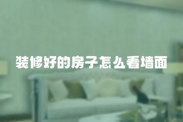 裝修好的房子怎么看墻面