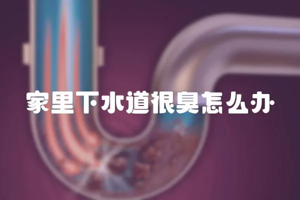 家里下水道很臭怎么辦