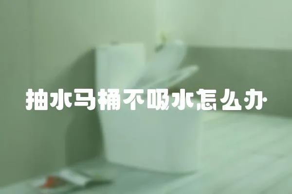 抽水馬桶不吸水怎么辦