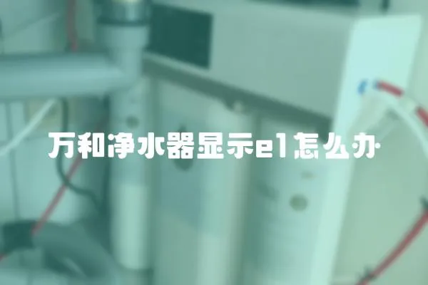 萬和凈水器顯示e1怎么辦