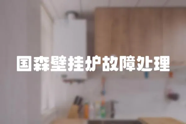 國森壁掛爐故障處理