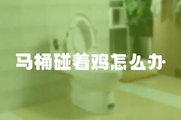 馬桶碰著雞怎么辦