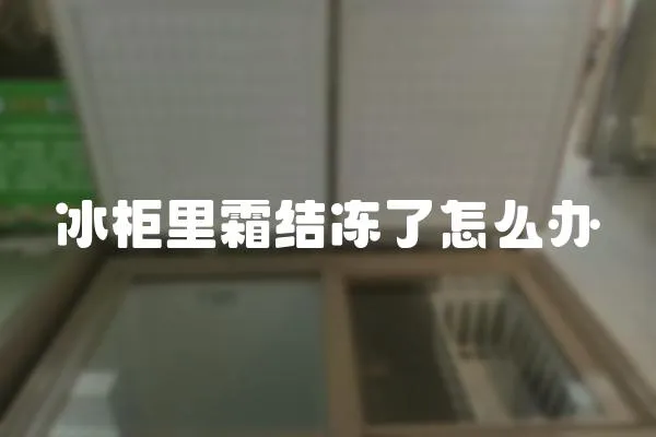 冰柜里霜結凍了怎么辦