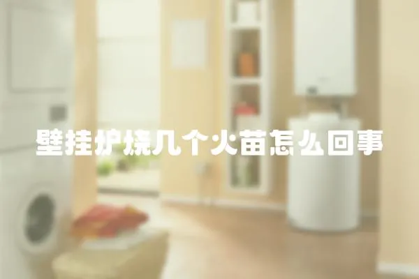 壁掛爐燒幾個火苗怎么回事
