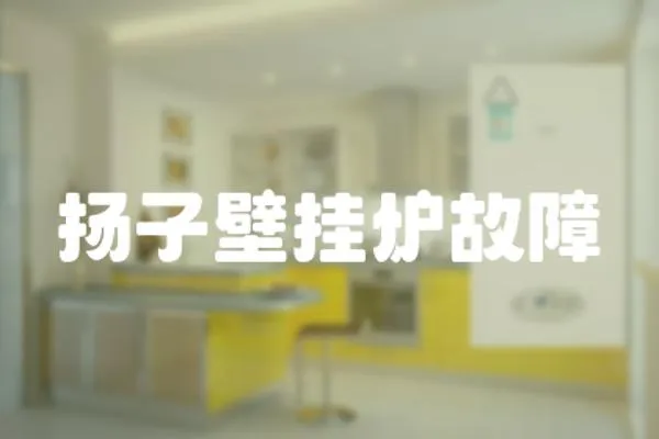 揚子壁掛爐故障