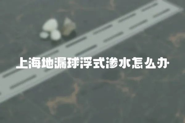 上海地漏球浮式滲水怎么辦
