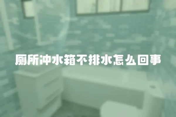 廁所沖水箱不排水怎么回事