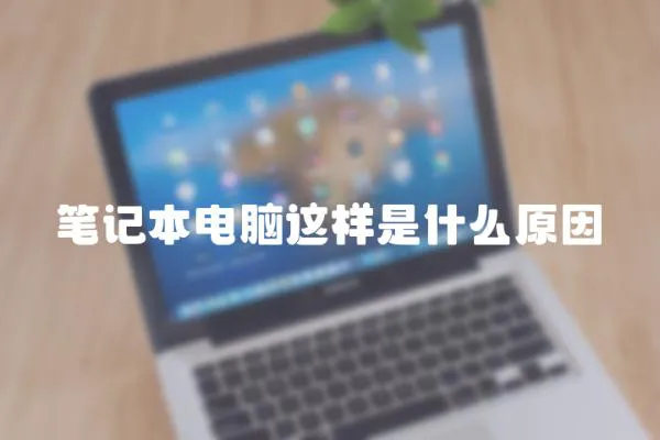 筆記本電腦這樣是什么原因