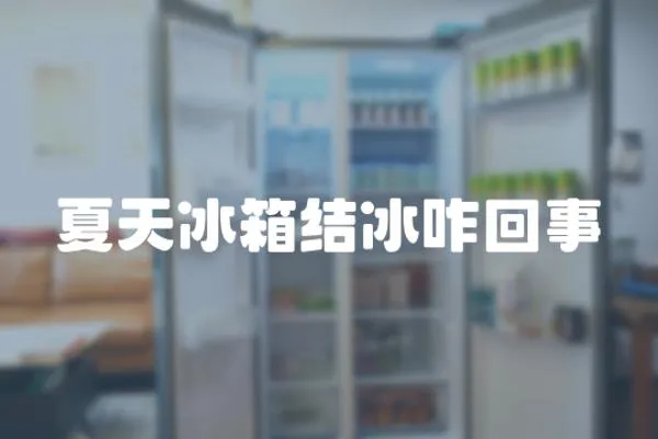 夏天冰箱結(jié)冰咋回事