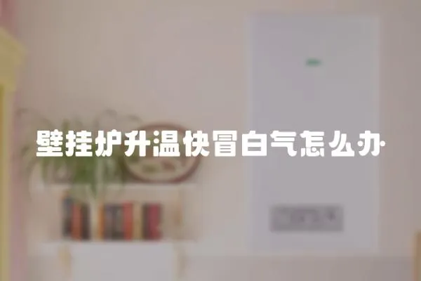 壁掛爐升溫快冒白氣怎么辦