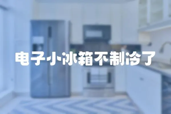 電子小冰箱不制冷了