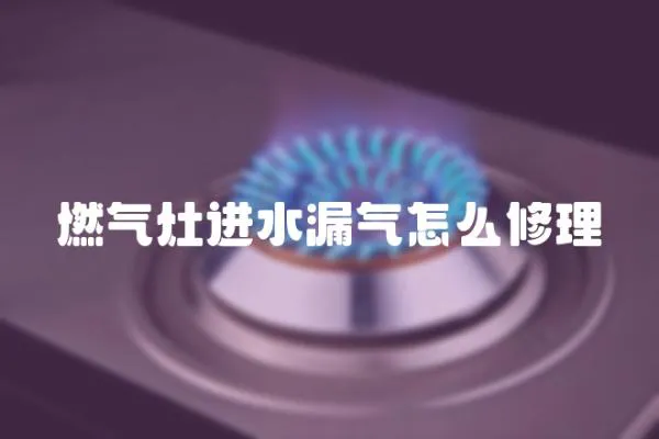 燃氣灶進水漏氣怎么修理