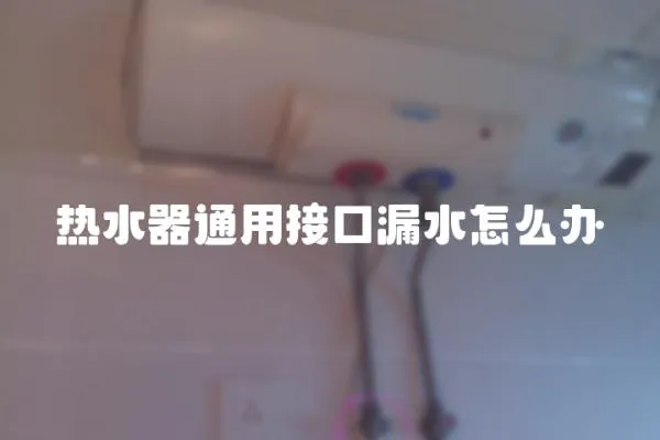 熱水器通用接口漏水怎么辦