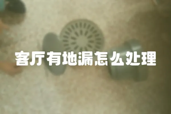 客廳有地漏怎么處理