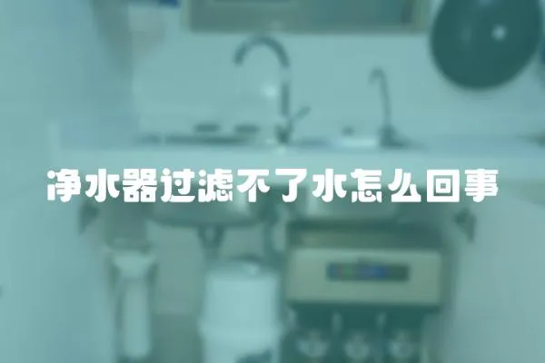 凈水器過濾不了水怎么回事