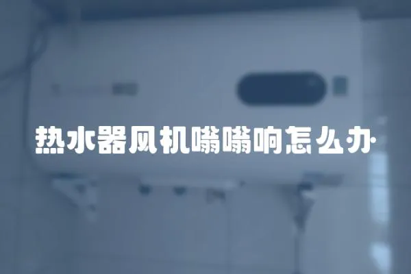 熱水器風機嗡嗡響怎么辦