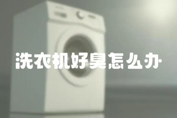 洗衣機好臭怎么辦