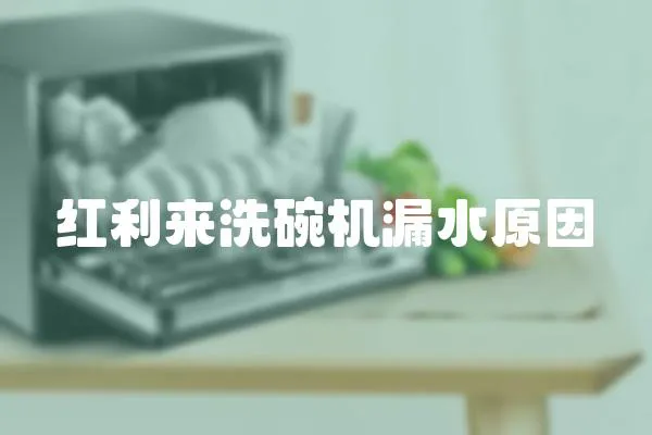紅利來洗碗機漏水原因
