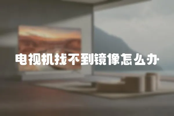 電視機(jī)找不到鏡像怎么辦
