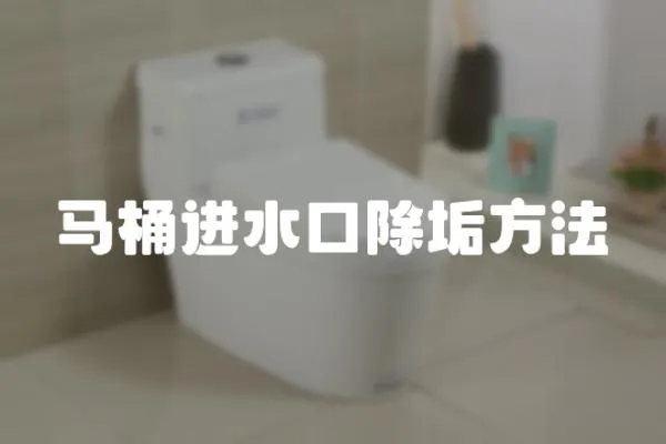 馬桶進(jìn)水口除垢方法