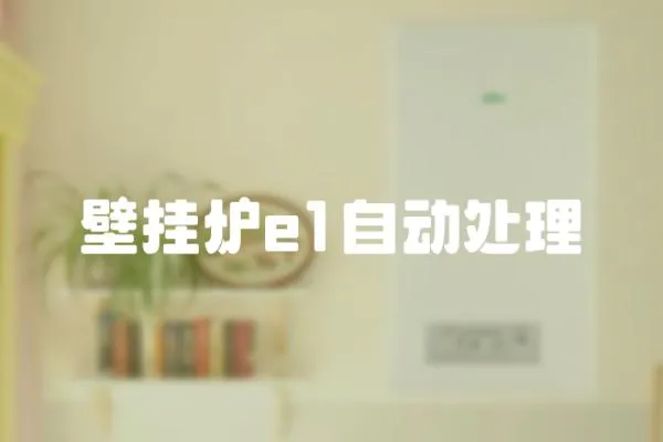 壁掛爐e1自動處理