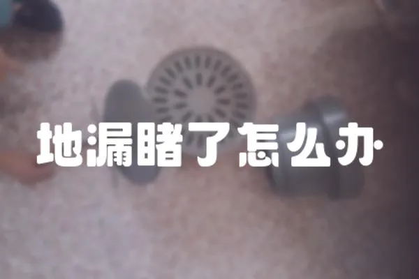 地漏睹了怎么辦