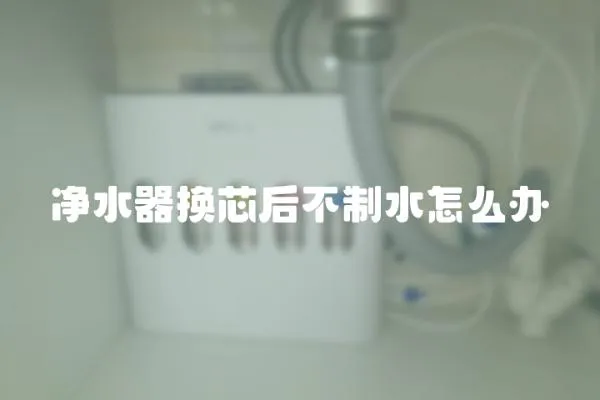 凈水器換芯后不制水怎么辦