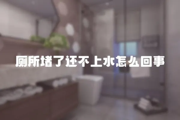 廁所堵了還不上水怎么回事